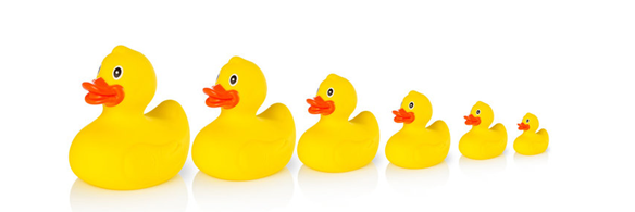 Are your financial ducks in a row?